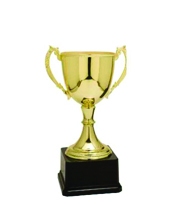 Large Gold Trophie