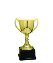 Medium Gold Trophie