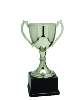 Large Silver Trophie