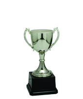 Medium Silver Trophie